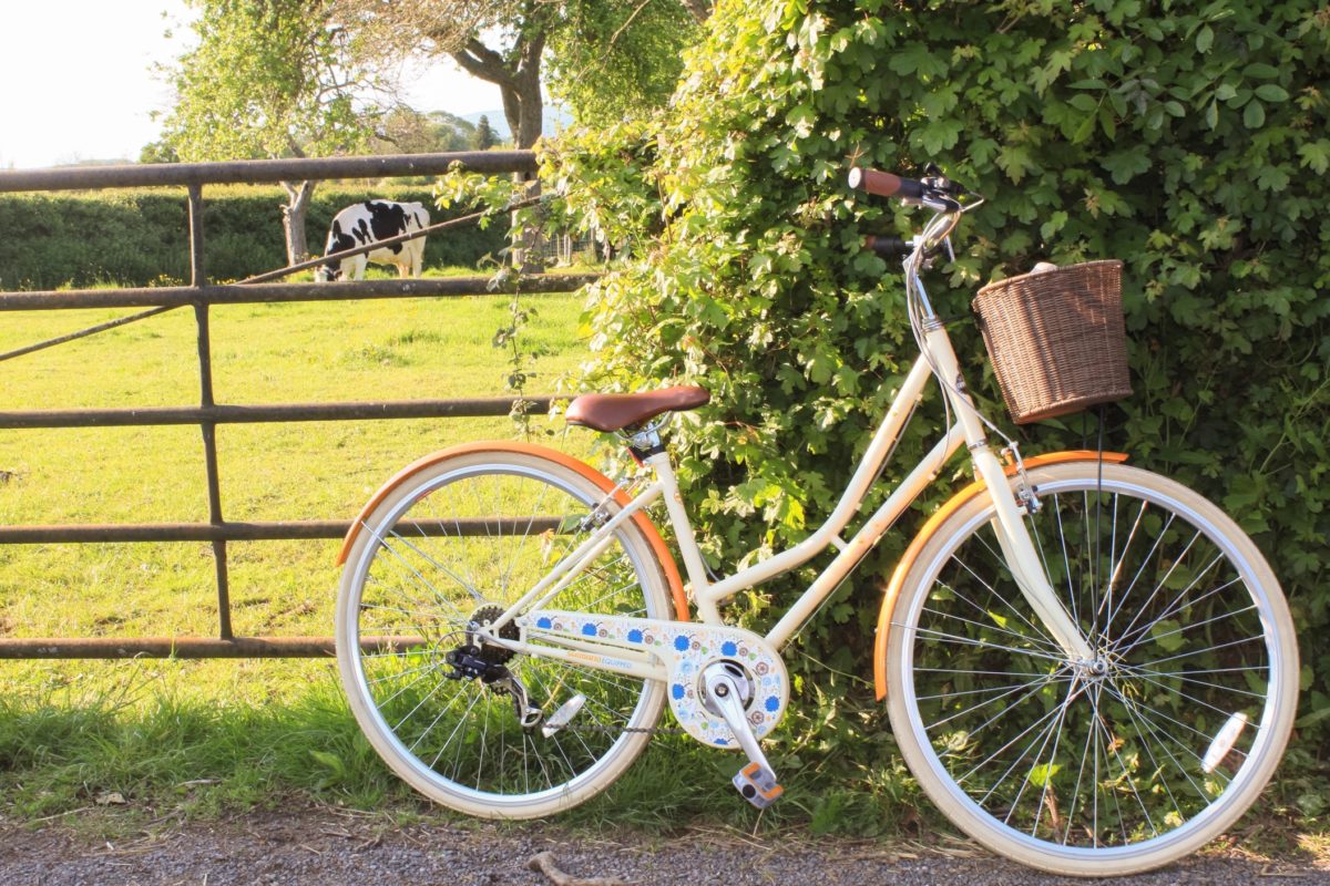 best stylish bike