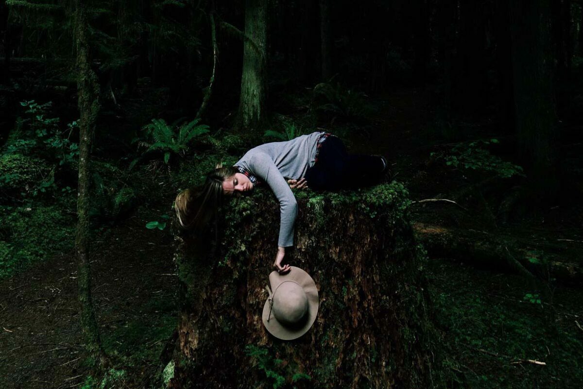 What is forest bathing? How to experience the natural luxury of forest bathing, which means gaining wellness by spending time in the woods