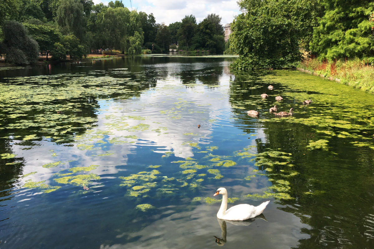 Summer day in London