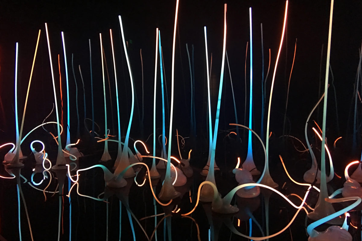 Everything to know for a visit to Chihuly Garden and Glass Museum in Seattle