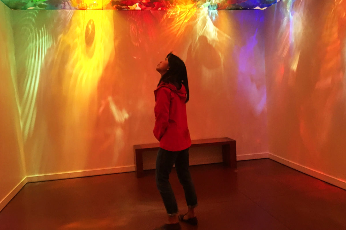 Everything to know for a visit to the The Chihuly Garden and Glass Museum, Seattle