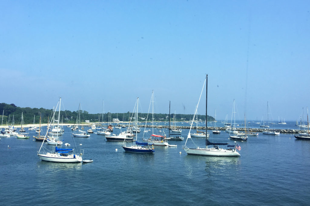photos and journal of the pure summer joy of taking the Massachusetts Steamship Authority ferry to Martha's Vineyard