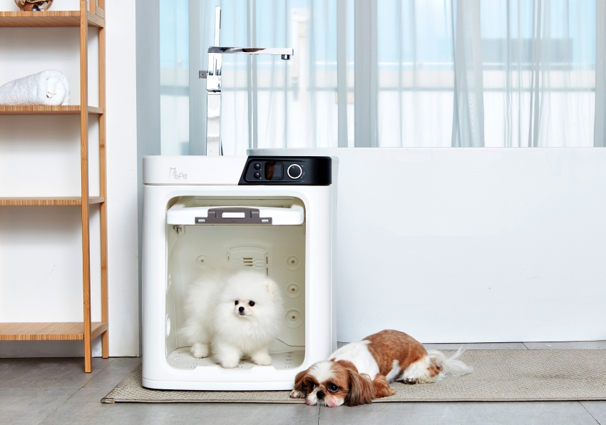 The best new luxury pet tech gadgets and toys: