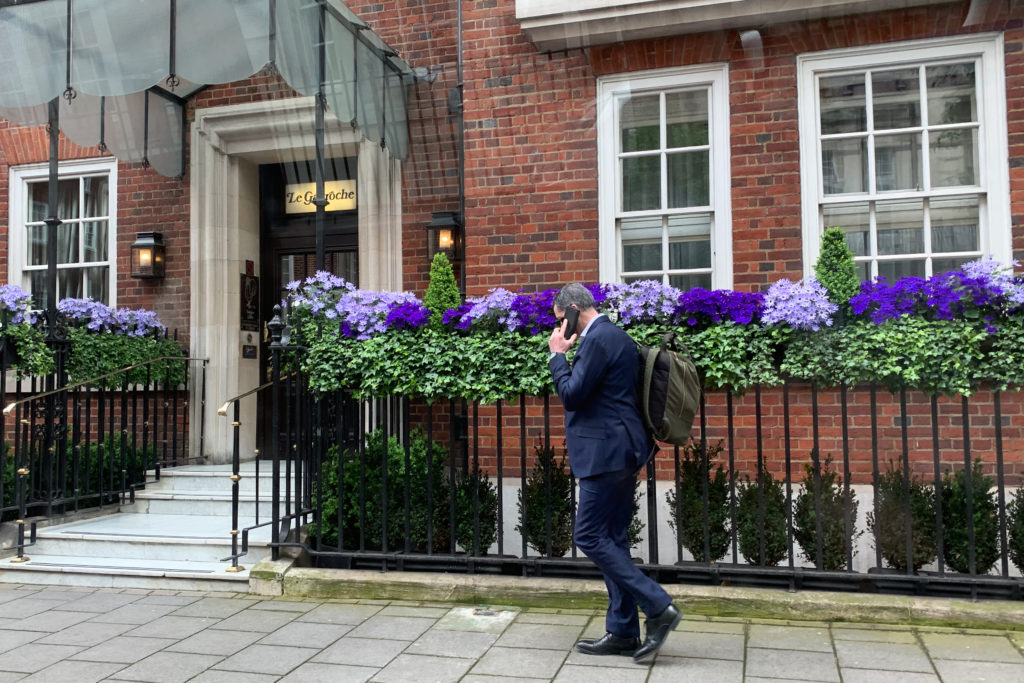 Purple flowers in London