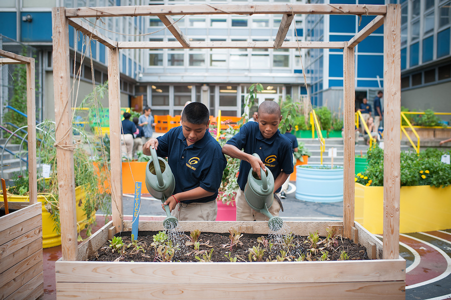 celebrating good deeds: kids working in school vegetable garden