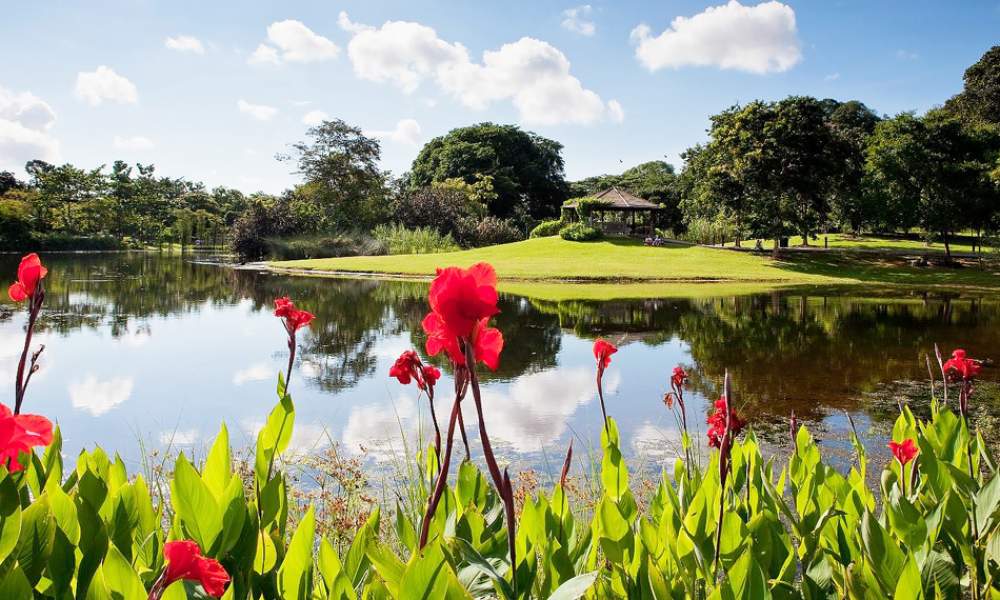 One of the best gardens in Asia and Africa