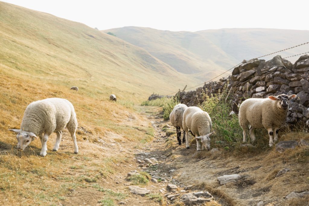 luxury hotels UK countryside