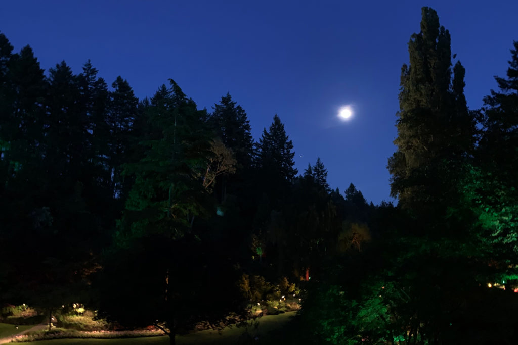 luxury Butchart Gardens