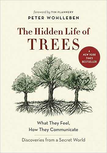 Best novels and nonfiction books for adults to read right now with a theme set in the autumn season, a perfect way to feel the fall vibes.