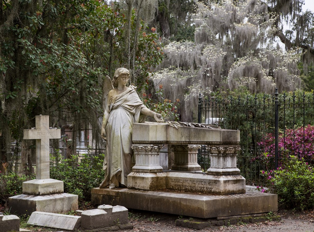 Beautiful Historic Cemeteries