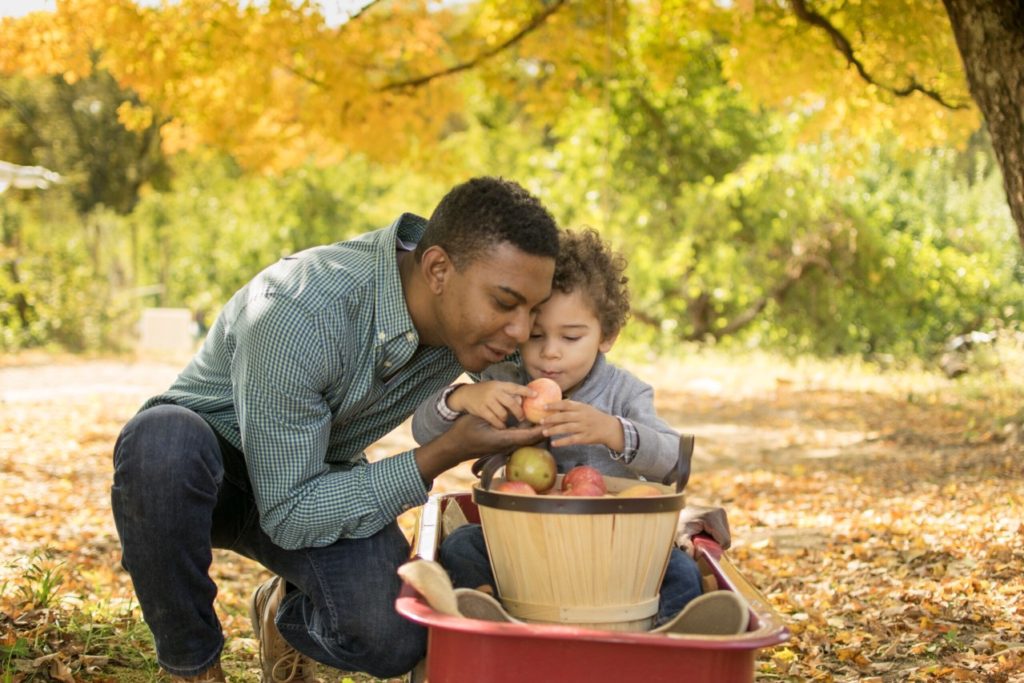 best places to go apple-picking