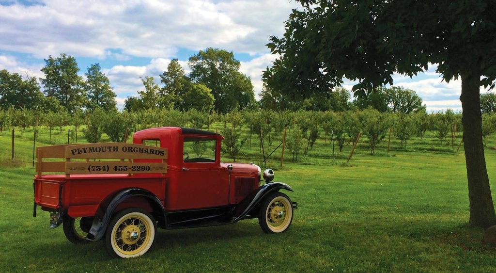 where to go apple-picking this fall