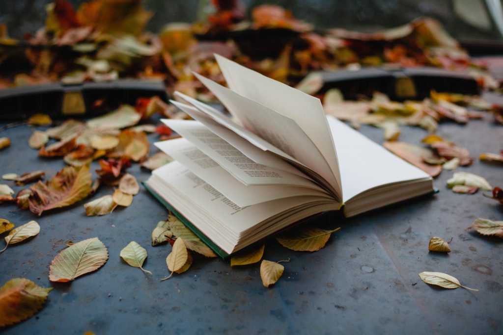 Best novels and nonfiction books for adults to read right now with a theme set in the autumn season