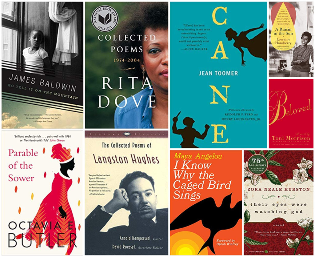 the best books for adults to read for MLK Day