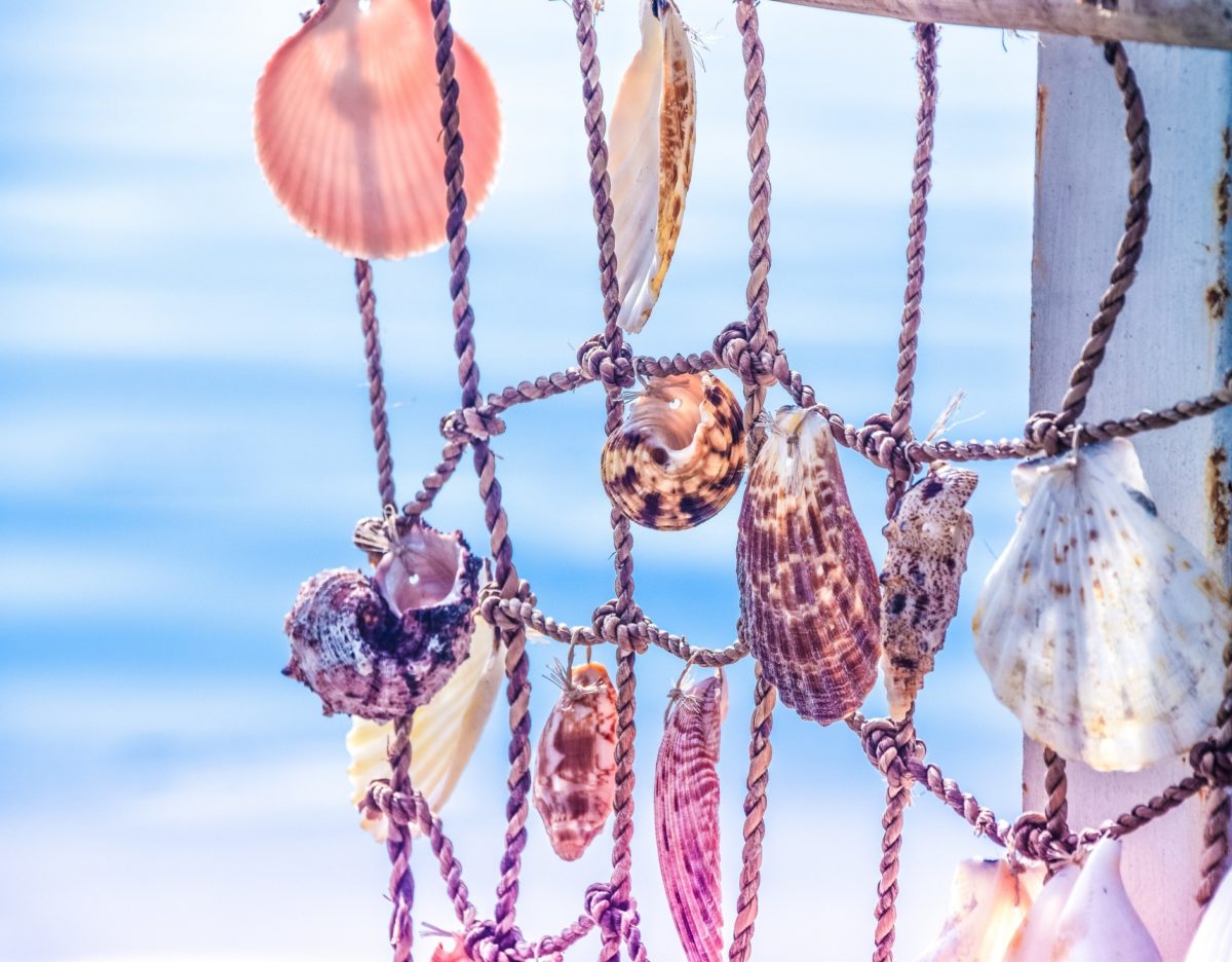 The best luxury seashore and shell jewelry for summer 2020