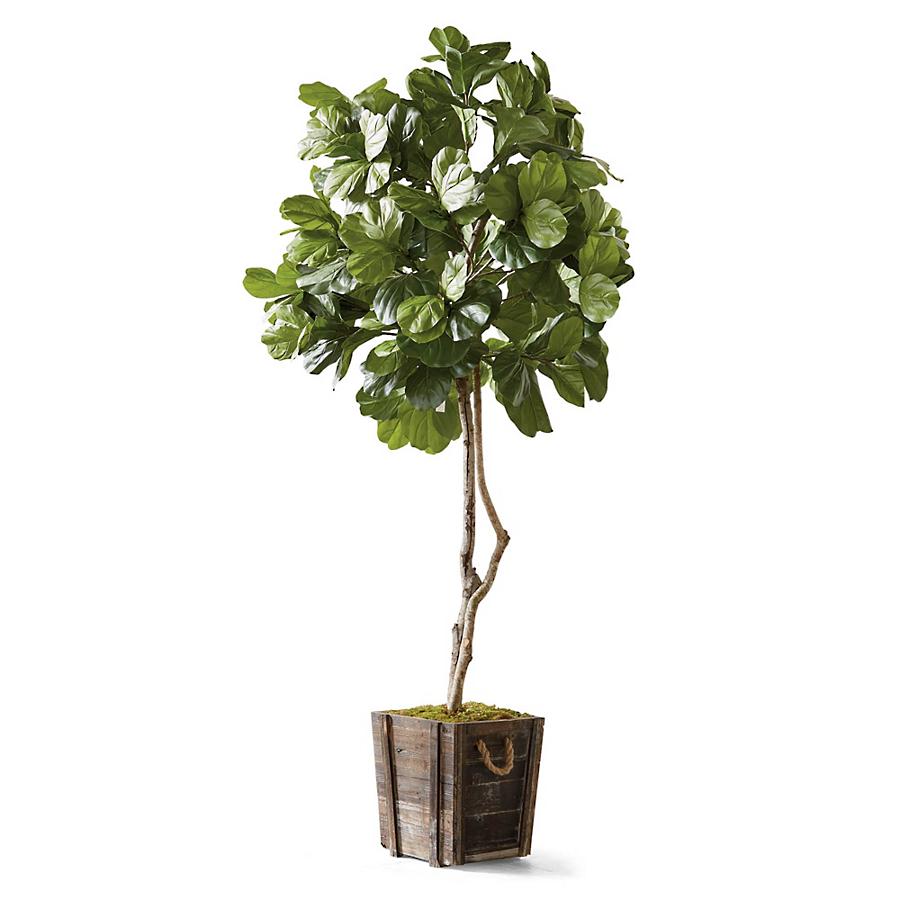 luxury faux fiddle-leaf fig