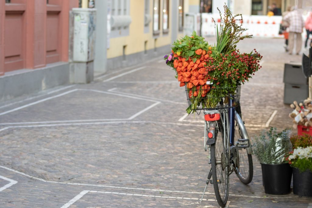 DIY home flower arranging