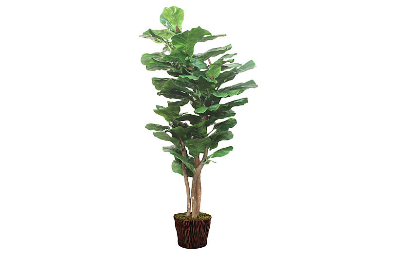 luxury faux fiddle-leaf fig