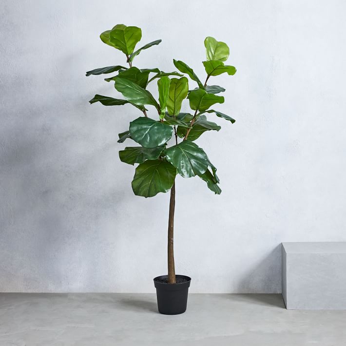 luxury faux fiddle-leaf fig