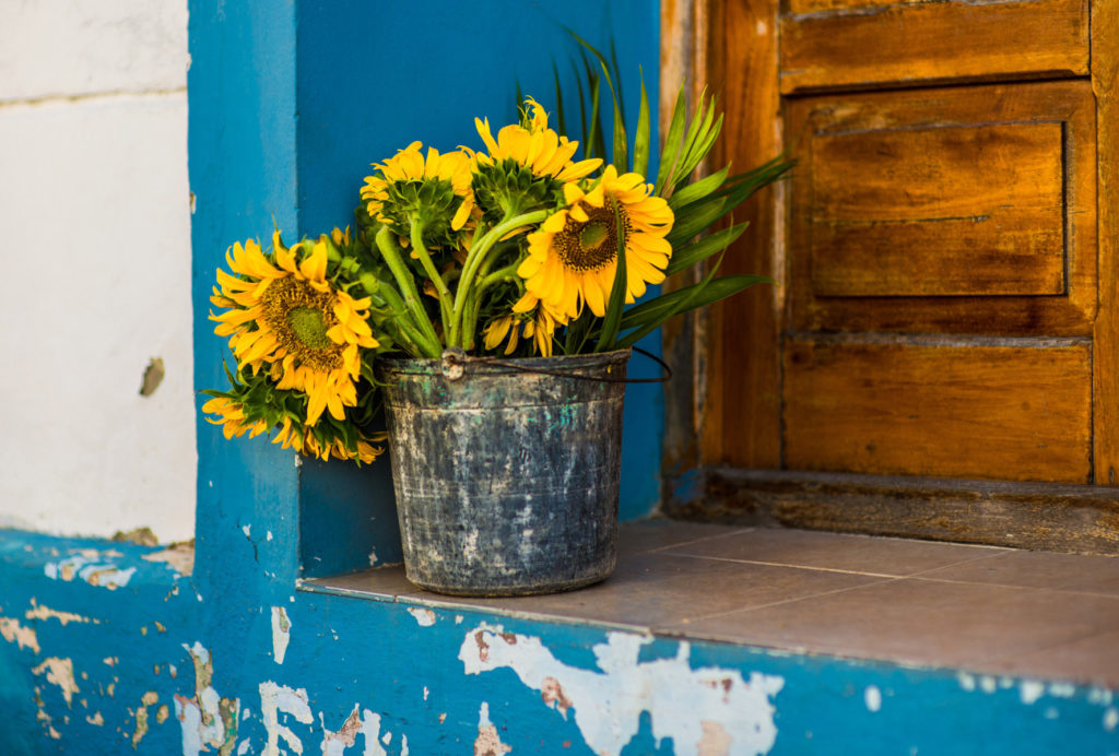 how to send the gift of a luxurious sunflower bouquet by mail