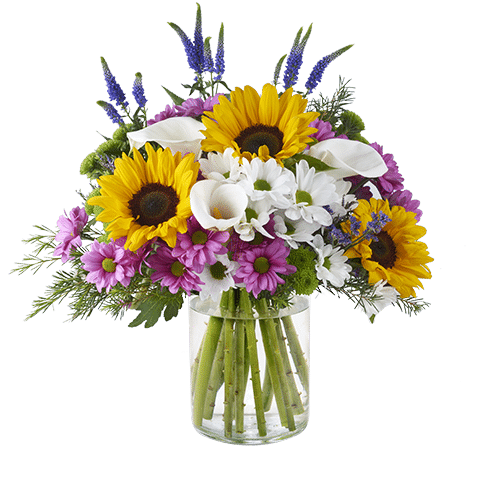 luxurious sunflower bouquet