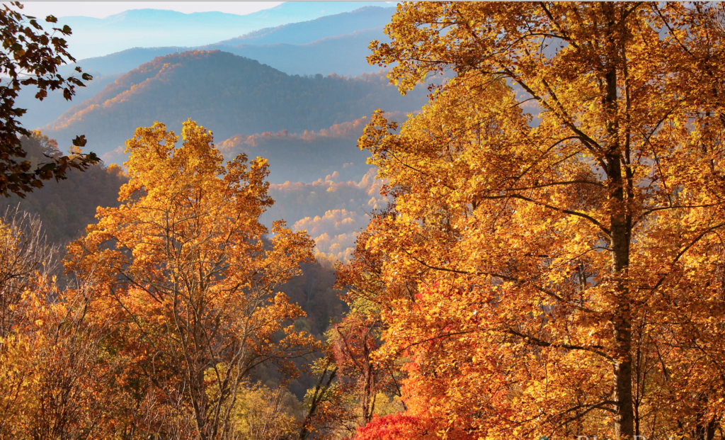 best fall family road trip