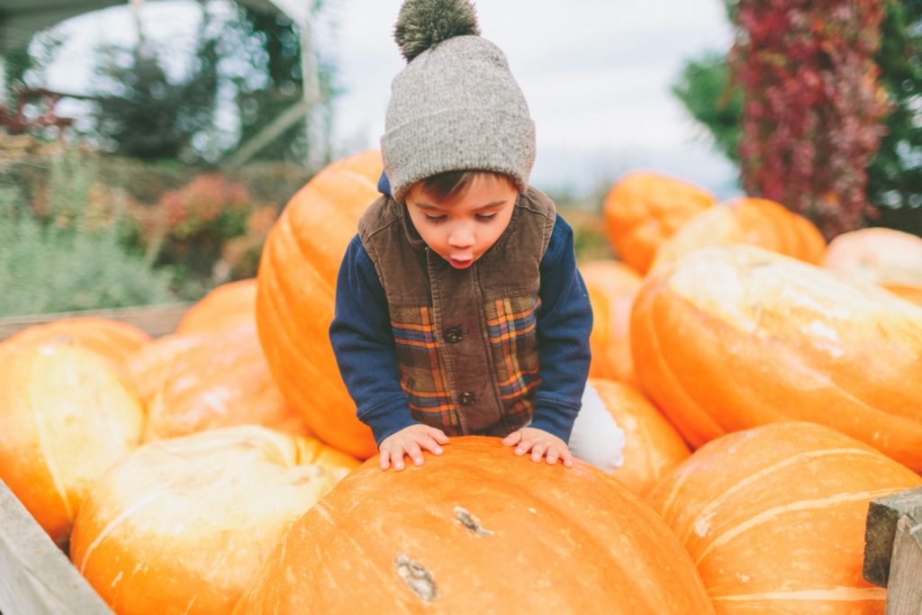 where to go pumpkin-picking this fall