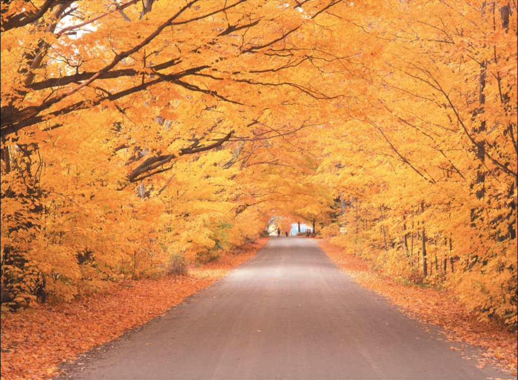 best fall family road trip