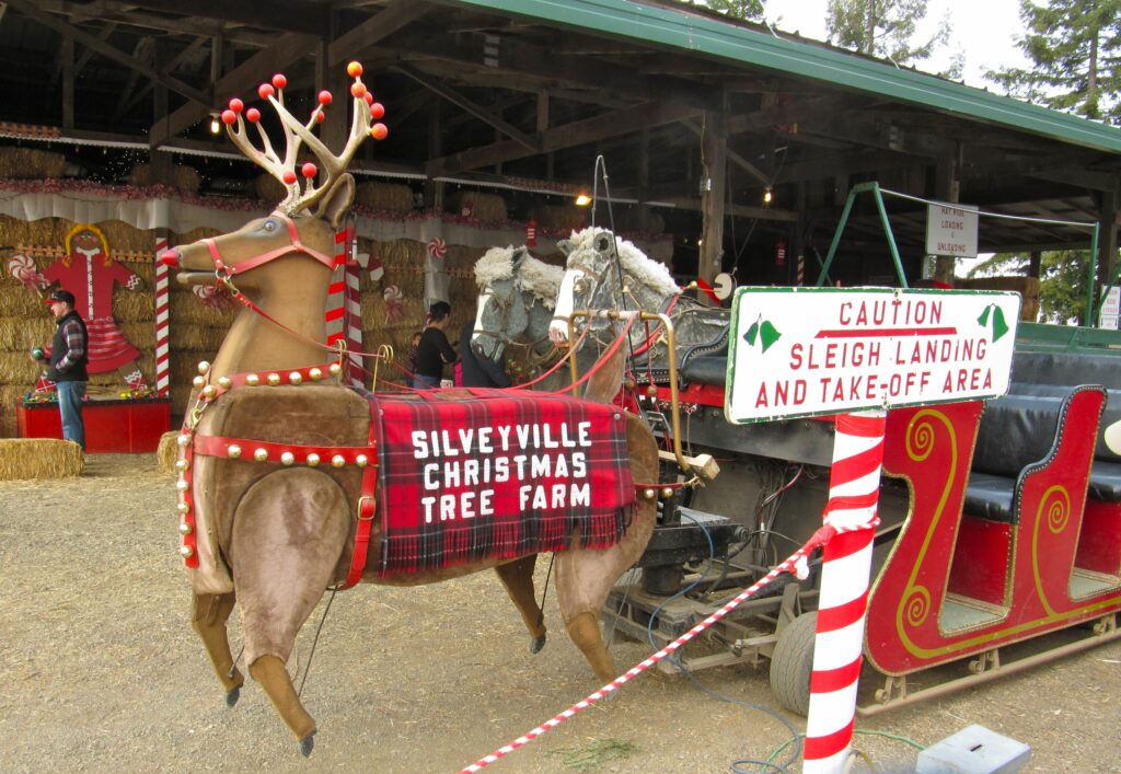 best Christmas tree farms