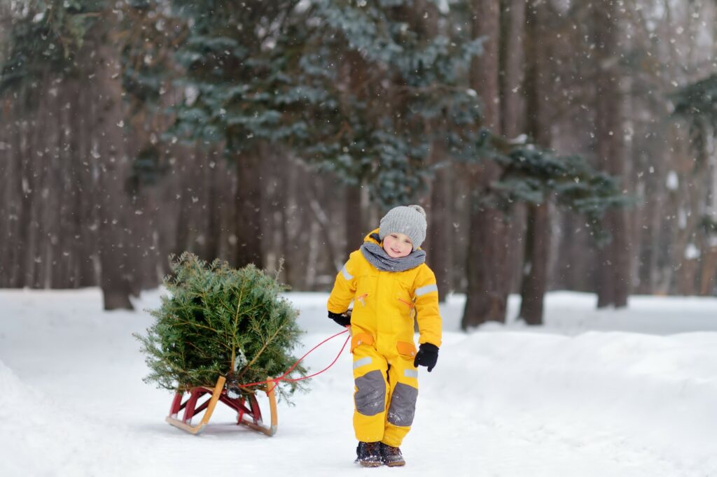 How to make this a sustainable green holiday: eco-friendly trees.