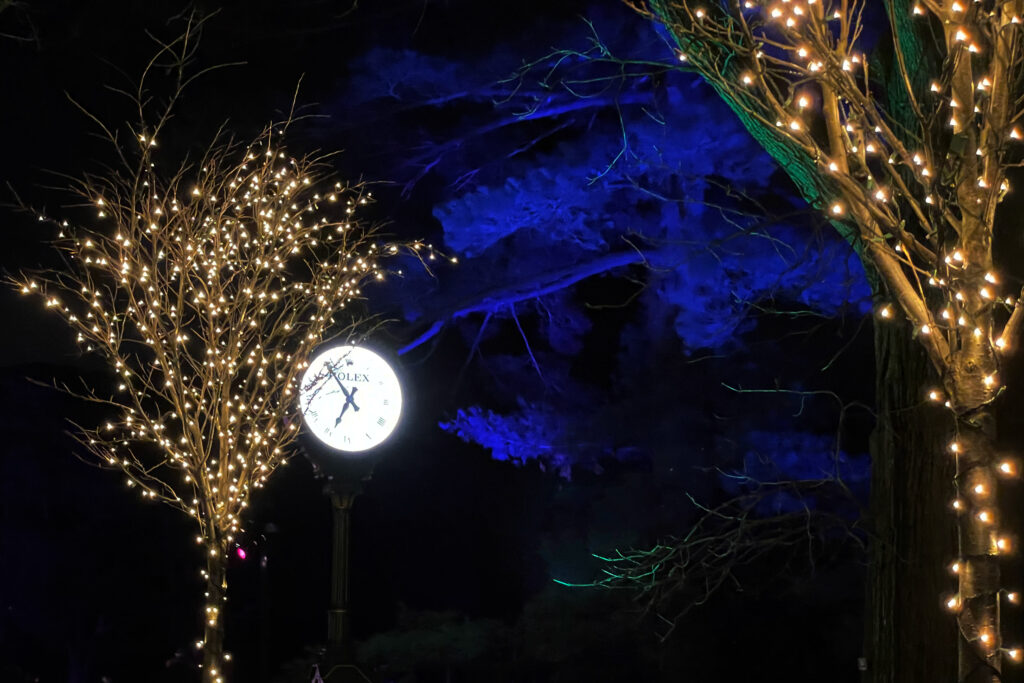 New York Botanical Garden Holiday Lights 2020. Photo Credit: Dandelion Chandelier.