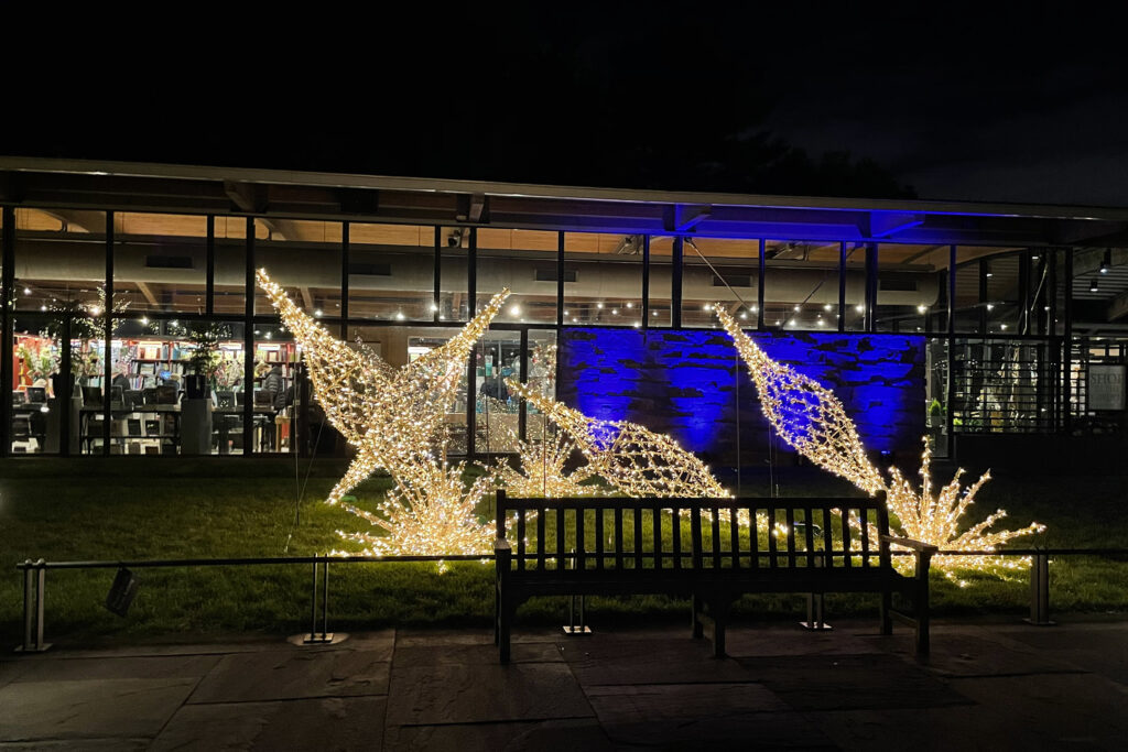 Photos from the NYBG Holiday Lights Show 2020.