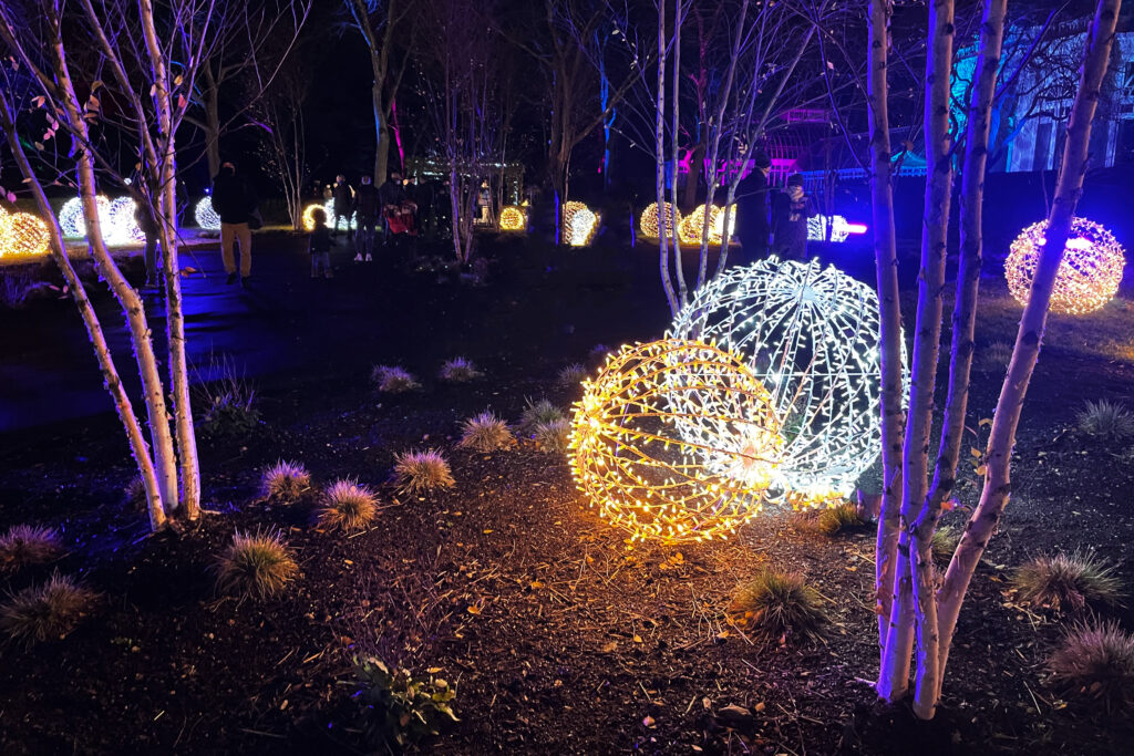The Botanical Garden Holiday Lights Show 2020