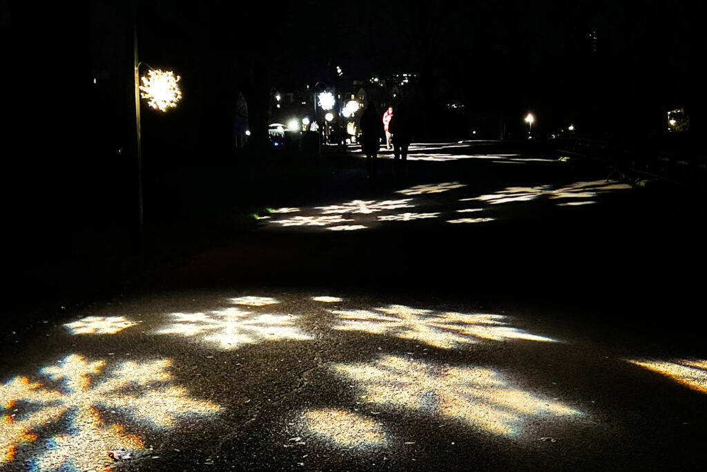 New York Botanical Garden Holiday Lights 2020. Photo Credit: Dandelion Chandelier.