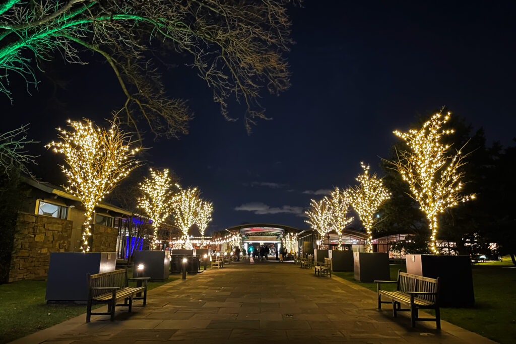 New York Botanical Garden Holiday Lights 2020. Photo Credit: Dandelion Chandelier.