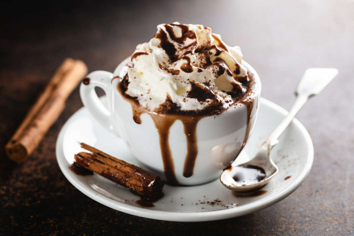 What are the best luxury hot chocolate gourmet brands, and where can you order them online and buy them as gifts by mail?