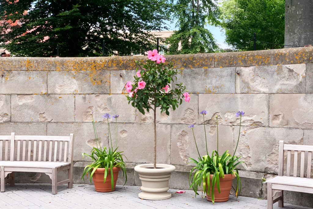 virtual tour of the gardens at the famous Newport mansion The Breakers