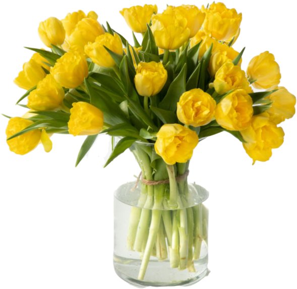 best luxury online florists to send tulips for Easter, birthday, graduation and Mother's Day gift this spring 2023