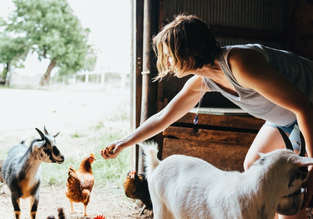 Urban Chicken Keeping like Meghan May be the New 2021 Thing