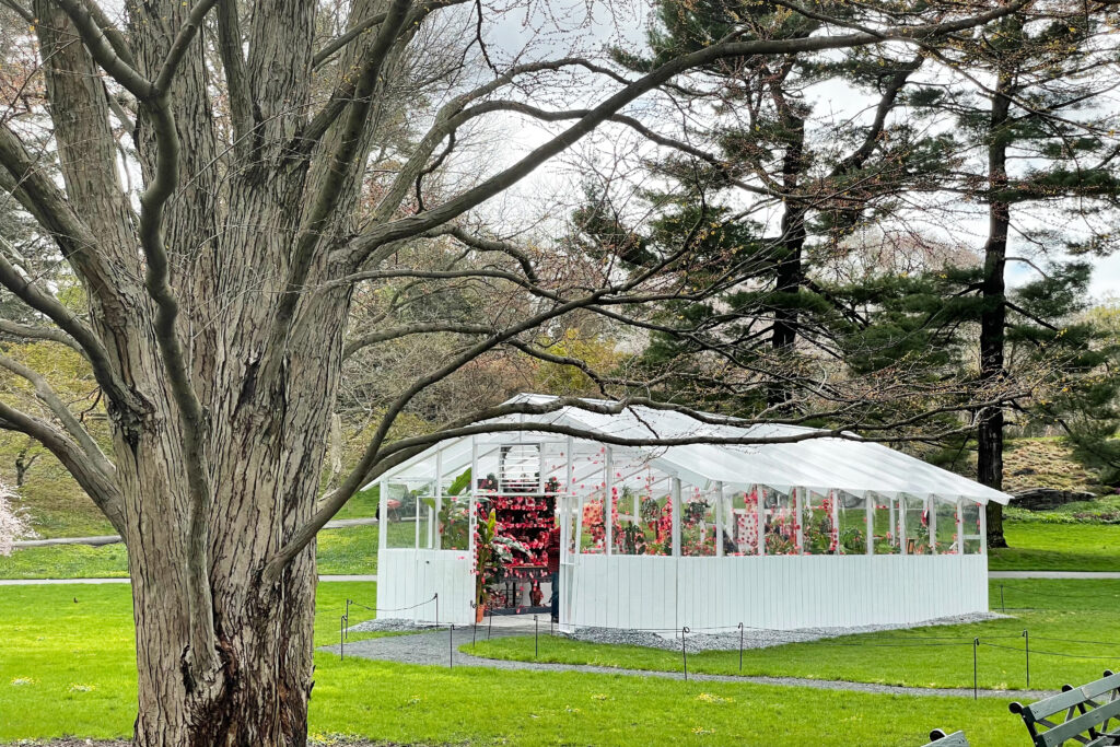 KUSAMA: Cosmic Nature at the New York Botanical Garden