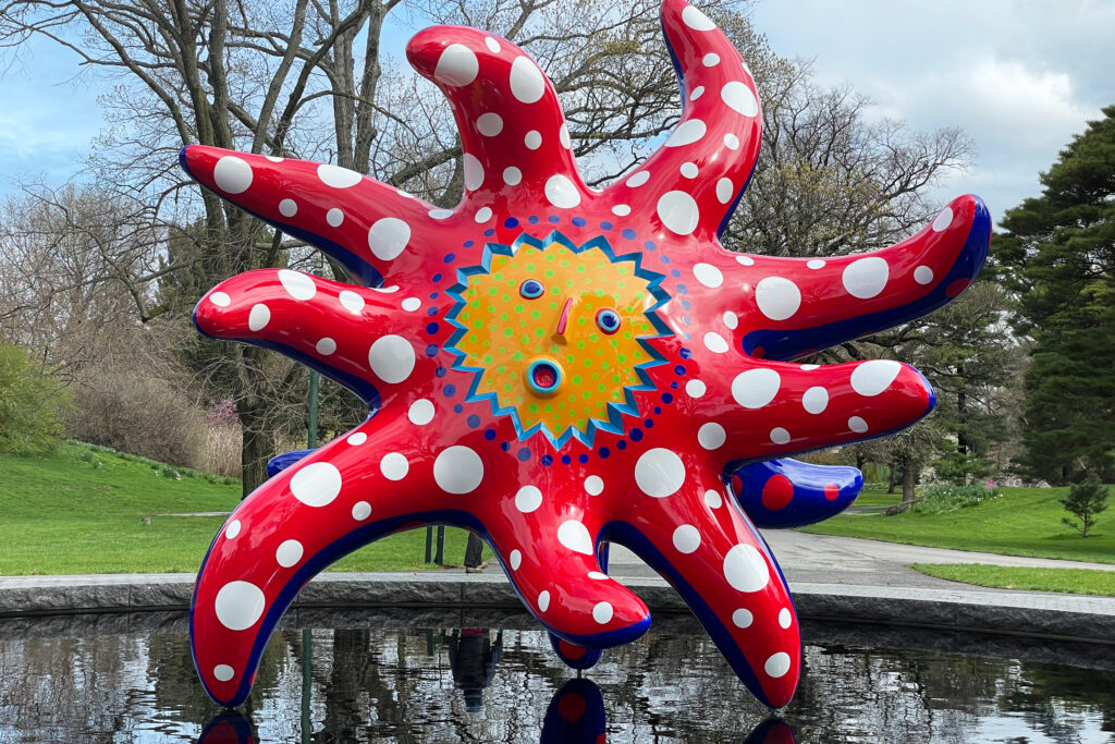 KUSAMA: Cosmic Nature at the New York Botanical Garden.