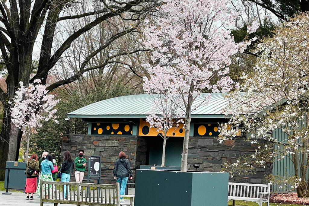 best photos and favorite works at the new 2021 Yayoi Kusama sculpture exhibit at the New York Botanical Garden