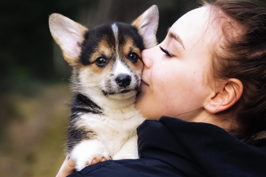 Expert tips from pet parents on what you need and what you need to know before adopting a new puppy, including timing and essential supplies