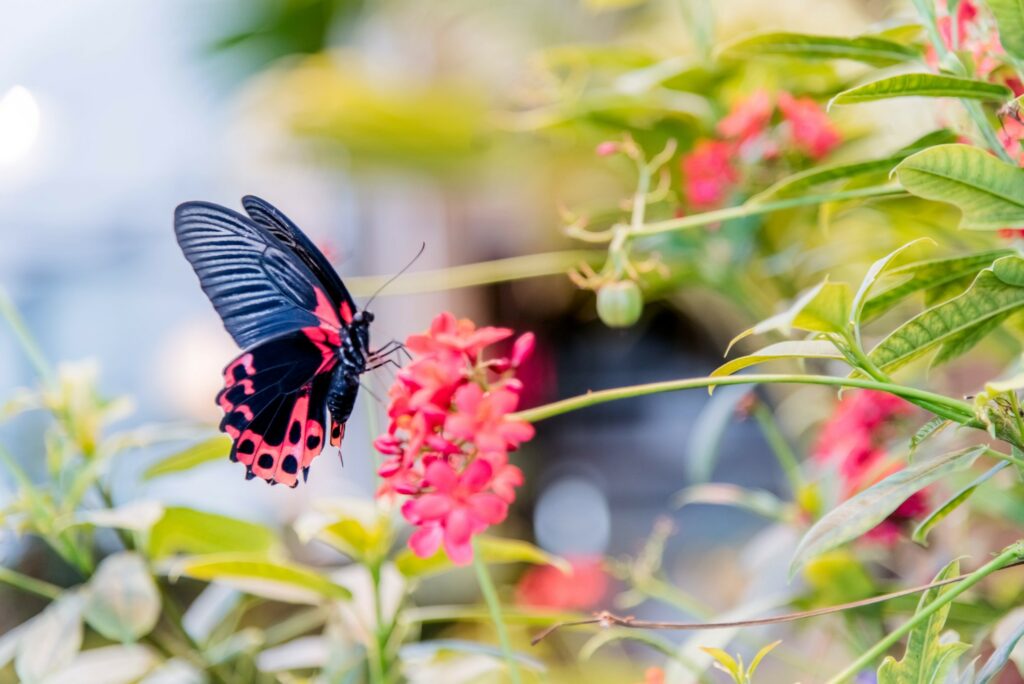 Expert tips and a list of six essential tools to buy to make starting a garden easy for beginners