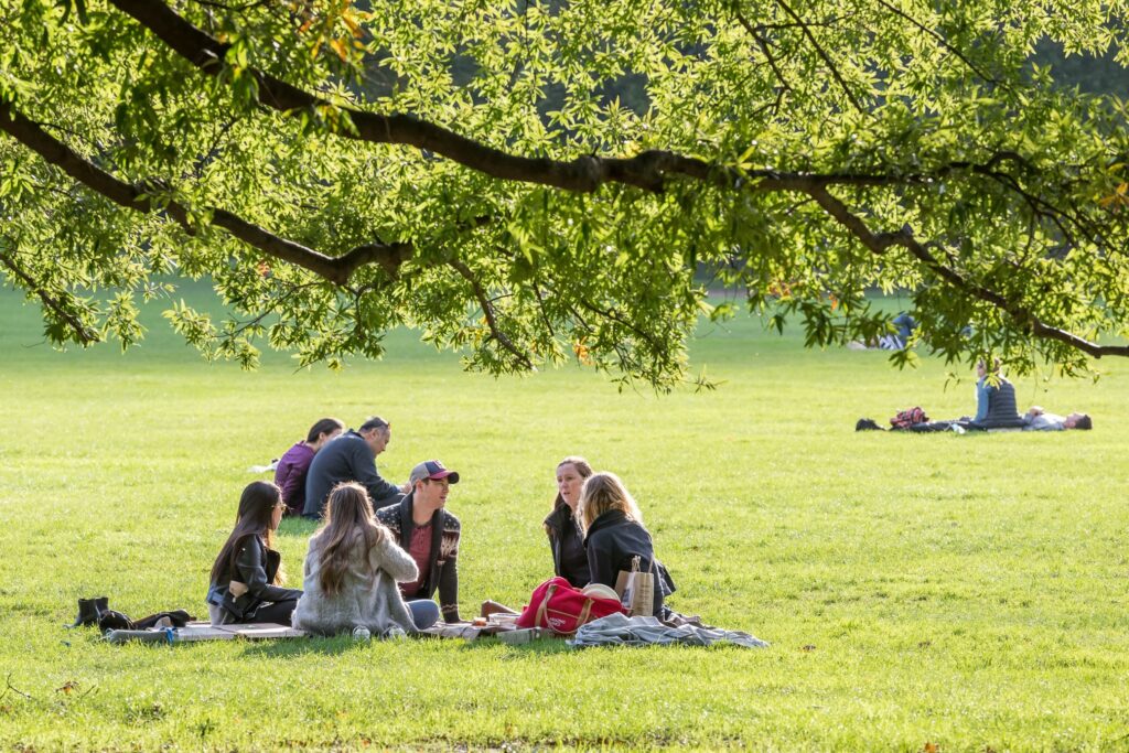 new luxury essentials for chic outdoor picnic dining in the summer of 2021, including a blanket, basket, a new canned cocktail and the perfect new romantic sunset location