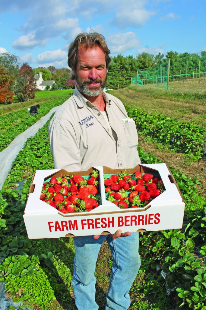 best places berry picking