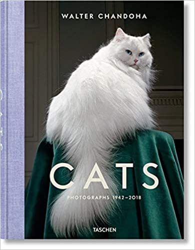 the best coffee table photography books about cats