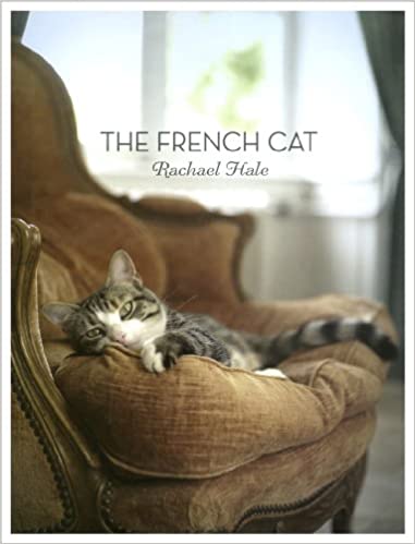 the best coffee table photography books about cats