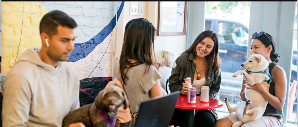 dog-friendly cafes