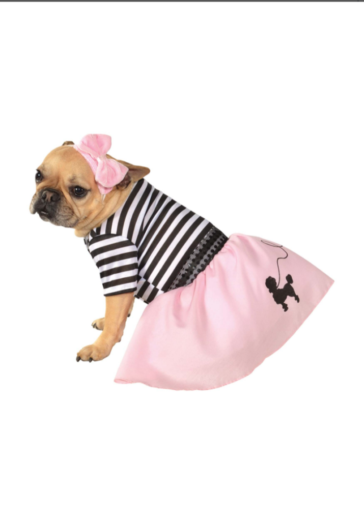 Our edit of the best Halloween costume ideas to shop for dogs and cats of any size, 